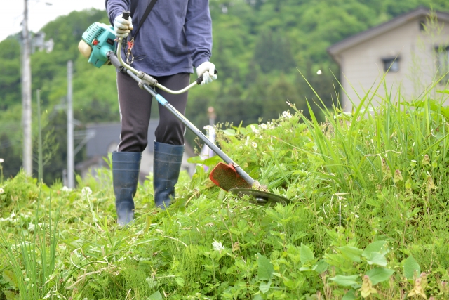 福井市で草刈りに最適な年3回の時期～楽に草刈りを終えるコツまで徹底解説